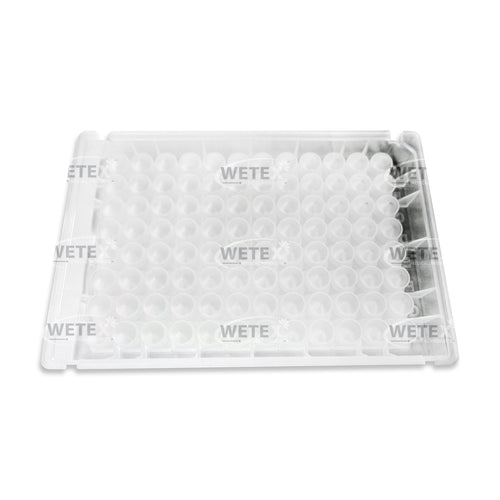 0.5mL Deep Well 96 PCR Plate, Sterile, V-Bottom