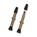 TUBELESS BRASS VALVE PAIR