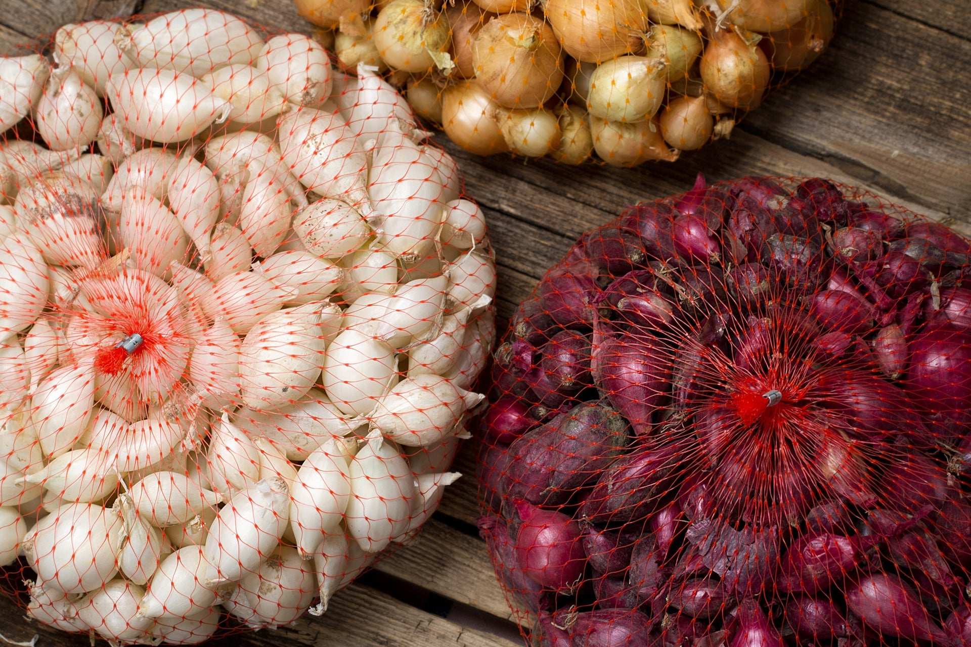 Mixed Red White & Yellow Onion Sets 1 Lb. Non-GMO