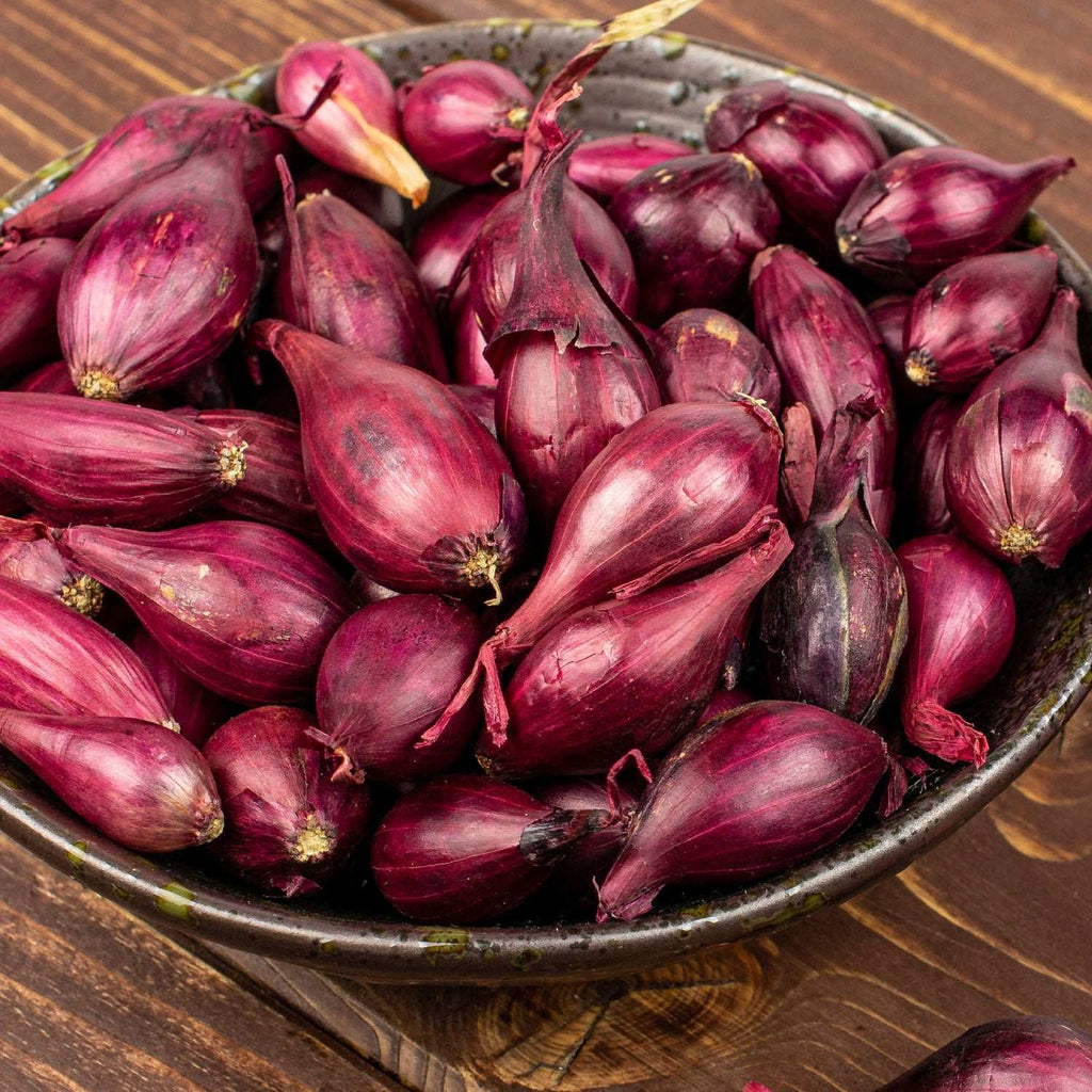 Red Onion Sets Non-GMO Red Baron Variety 50-60 Bulbs