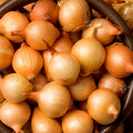 Yellow Onion Sets 8 oz. Non-GMO Stuttgarter Variety