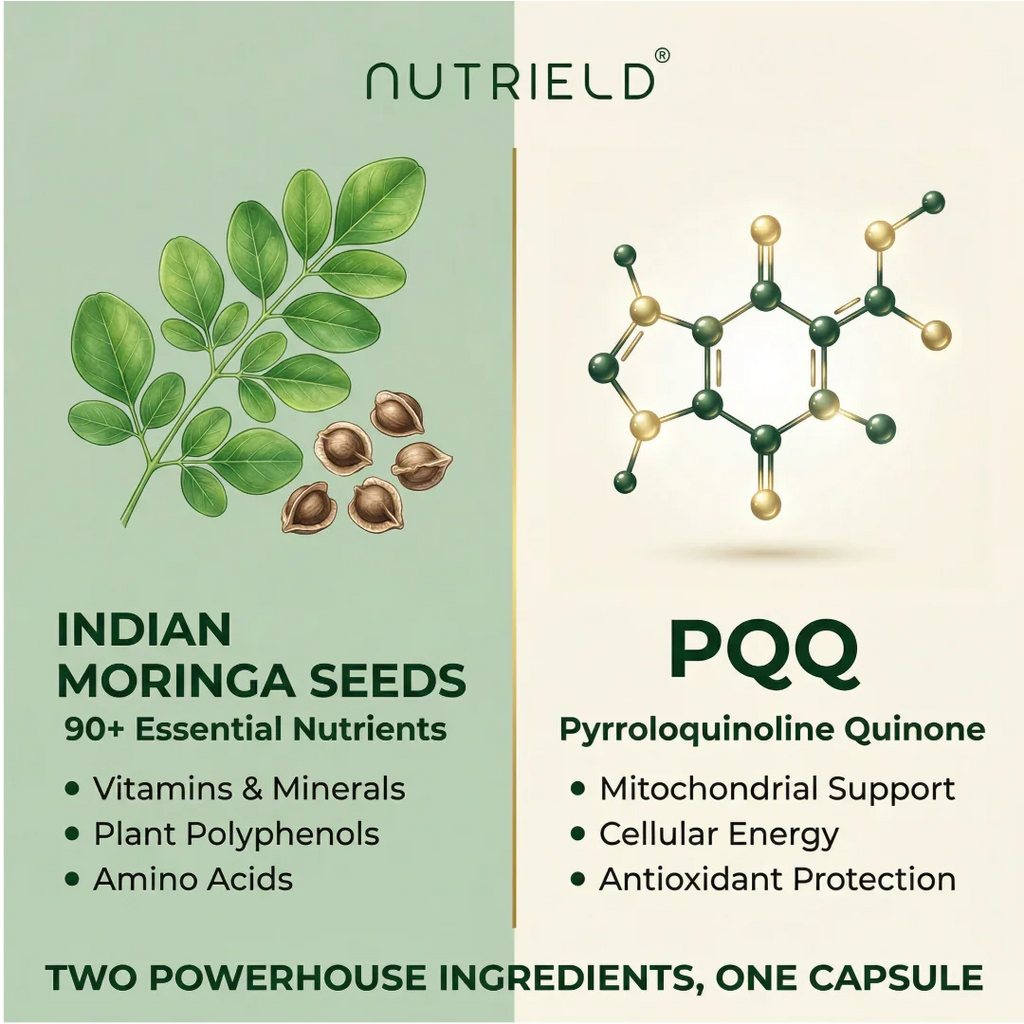 Moringa+PQQ